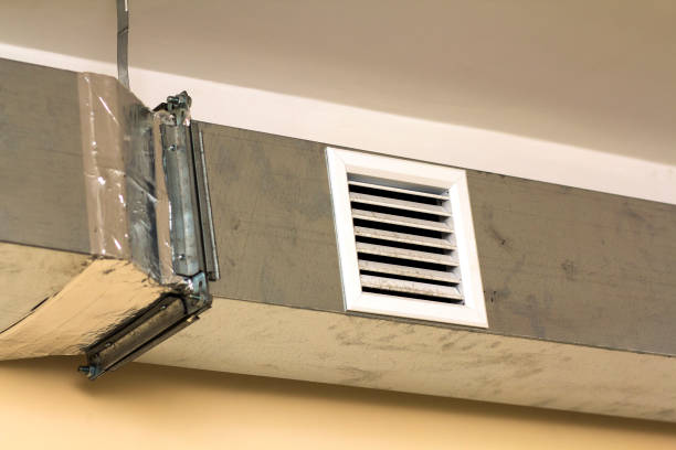 Best Air Duct Mold Removal  in Benton, LA